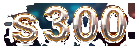 s 300 logo